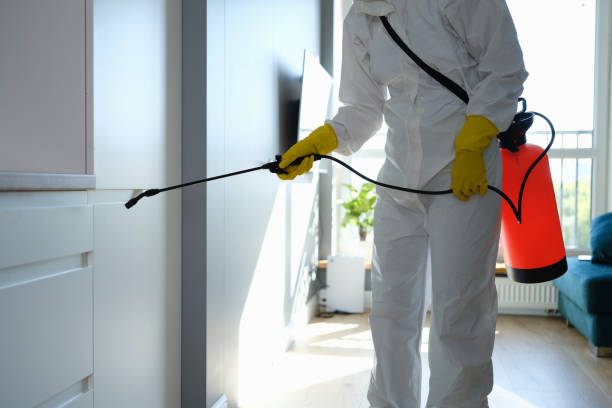 Best Certified Mold Removal  in Canyon Creek, WA